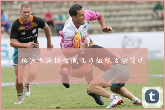 绍兴冬泳协会概况与组织活动简述